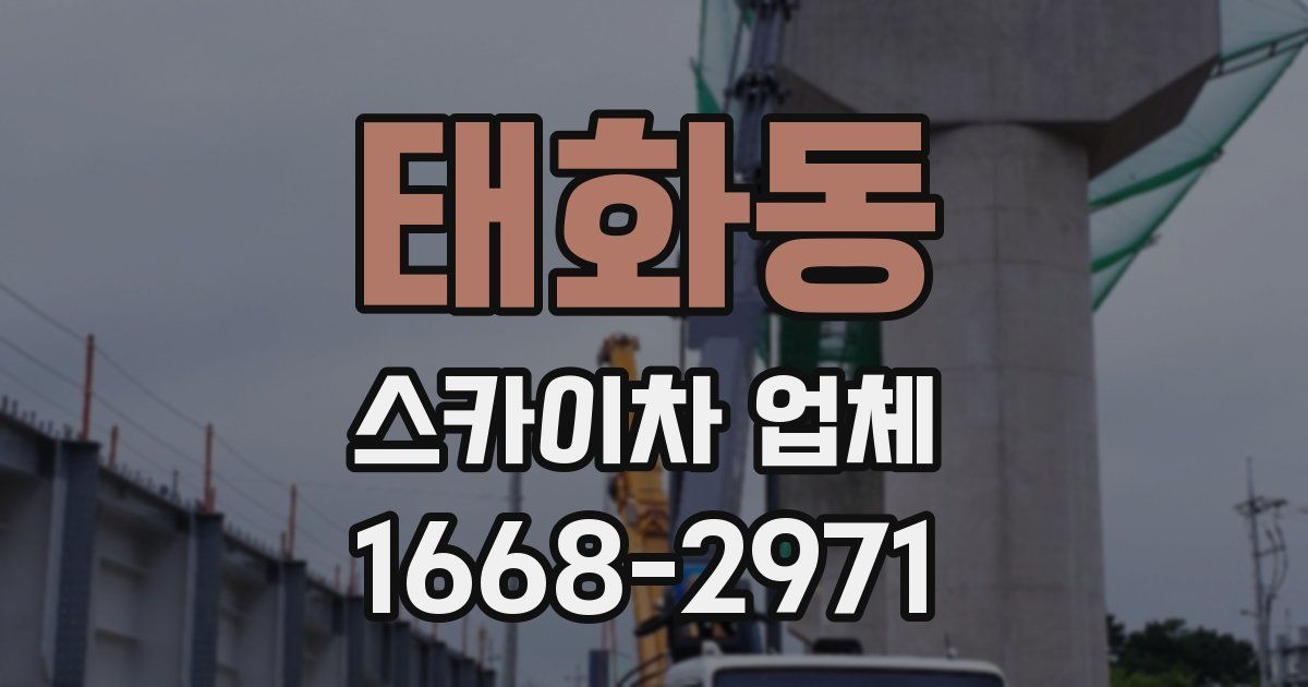태화동 스카이차 업체