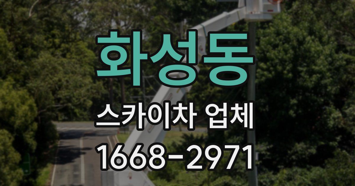 화성동 스카이차 업체