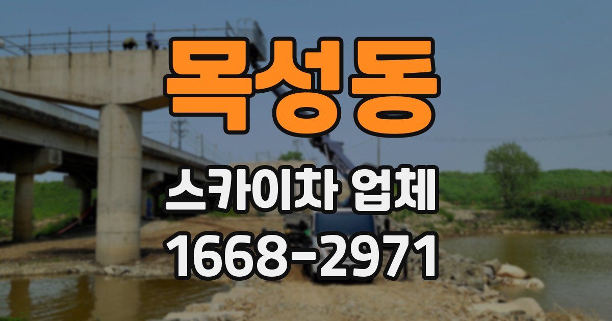 목성동 스카이차 업체