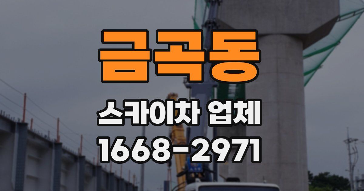 금곡동 스카이차 업체