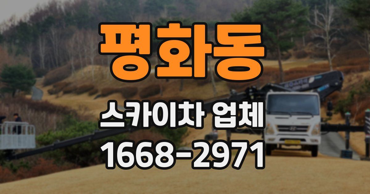 평화동 스카이차 업체