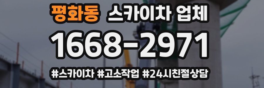 평화동 스카이차 업체