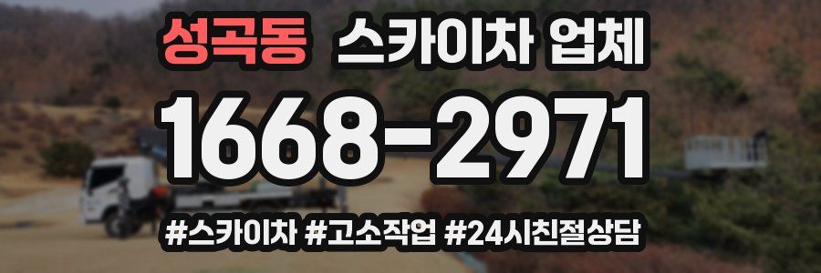 성곡동 스카이차 업체