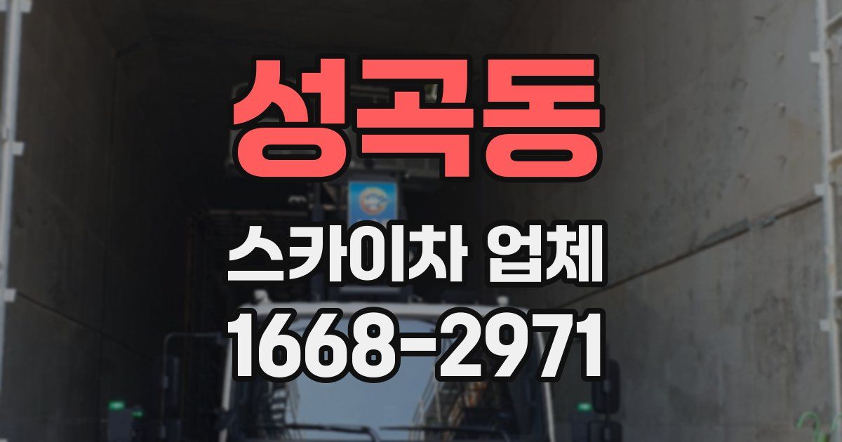 성곡동 스카이차 업체
