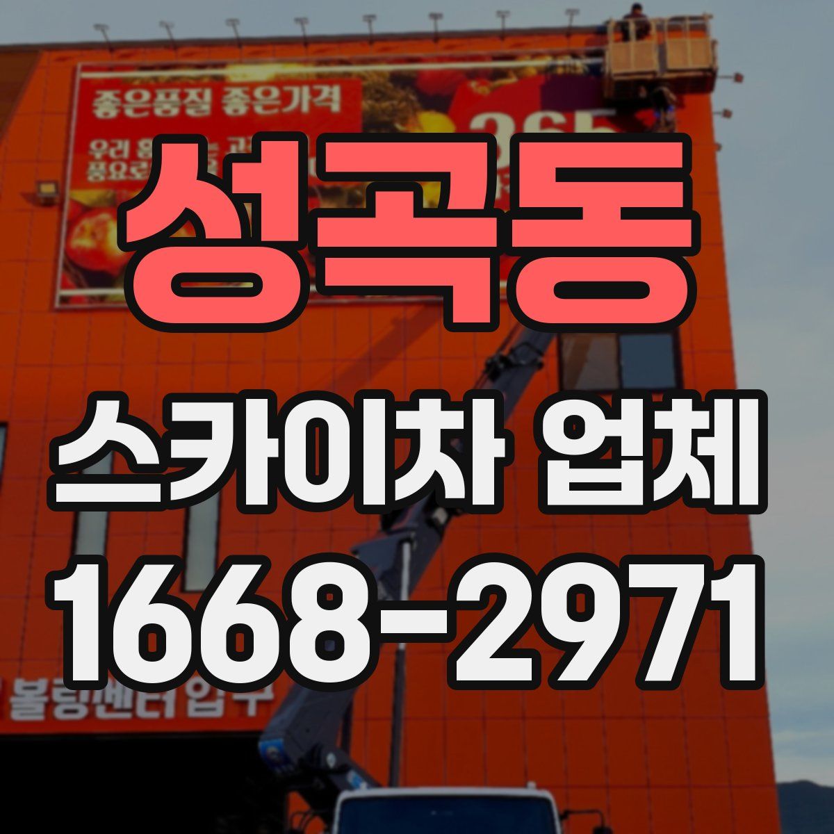 성곡동 스카이차 업체