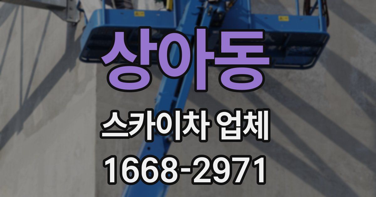 상아동 스카이차 업체
