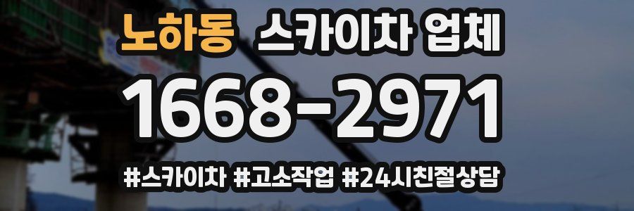 노하동 스카이차 업체
