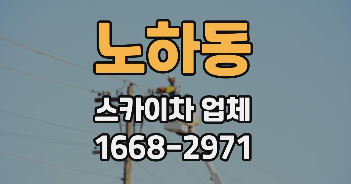 노하동 스카이차 업체