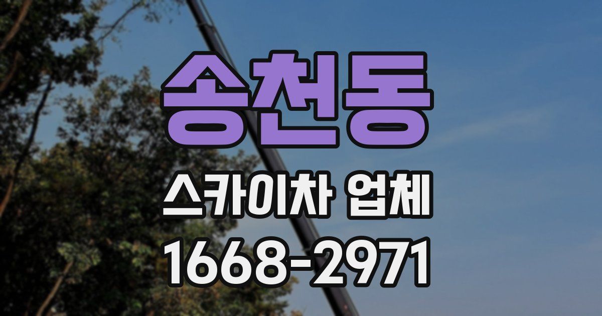 송천동 스카이차 업체