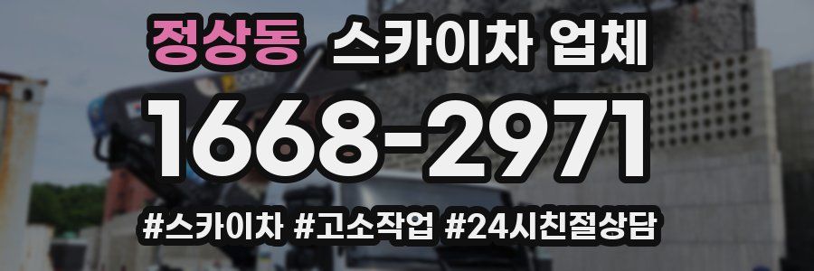 정상동 스카이차 업체