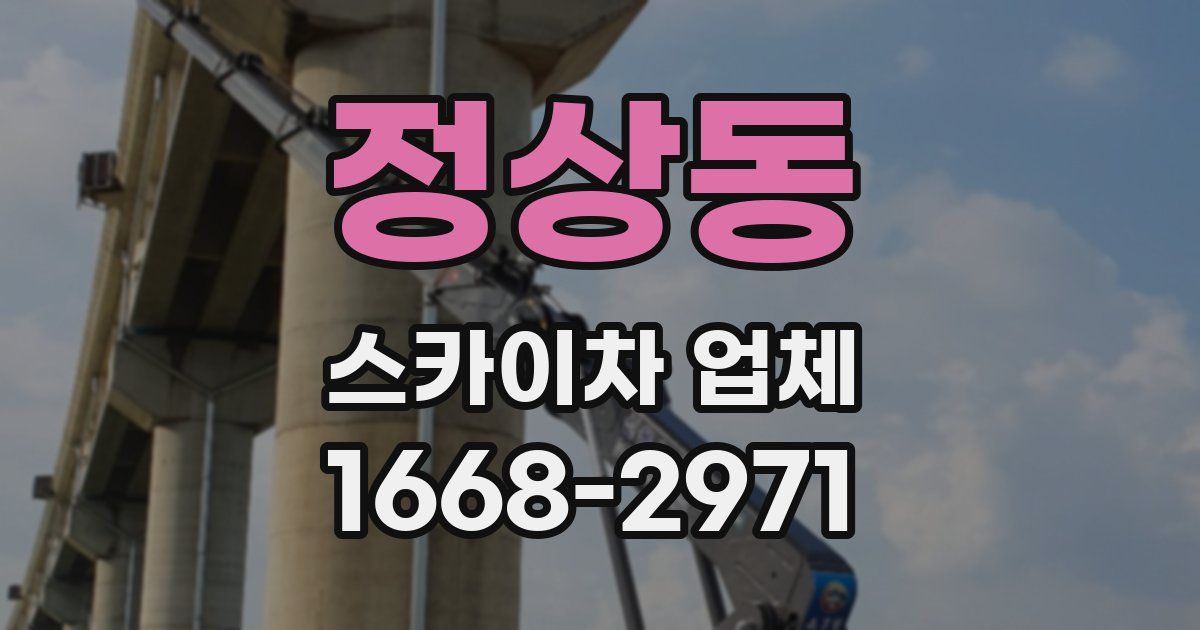 정상동 스카이차 업체