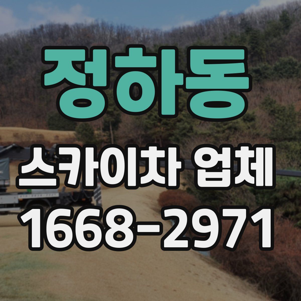 정하동 스카이차 업체