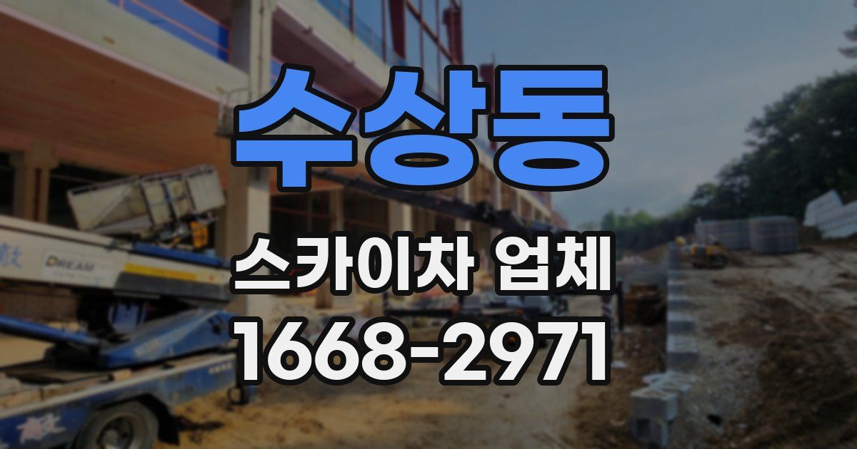 수상동 스카이차 업체
