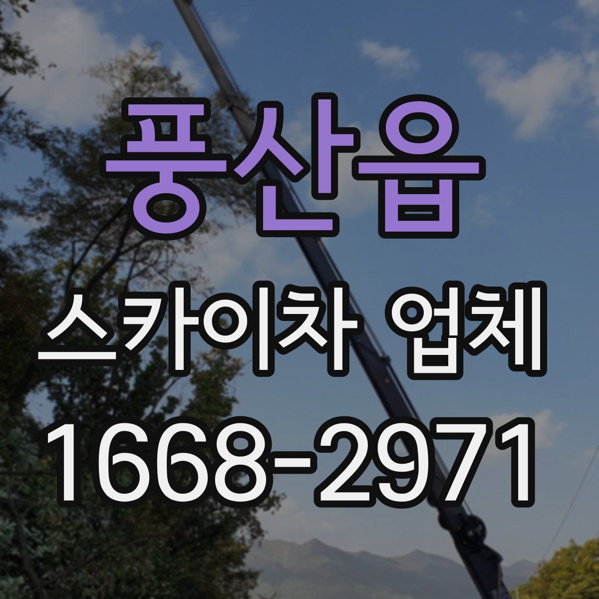 풍산읍 스카이차 업체