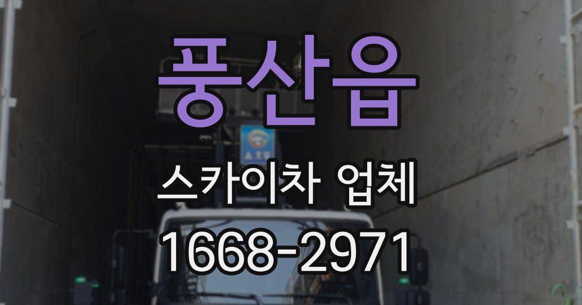 풍산읍 스카이차 업체