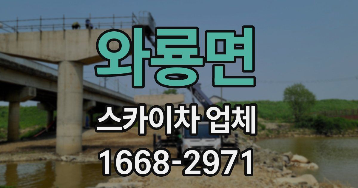 와룡면 스카이차 업체