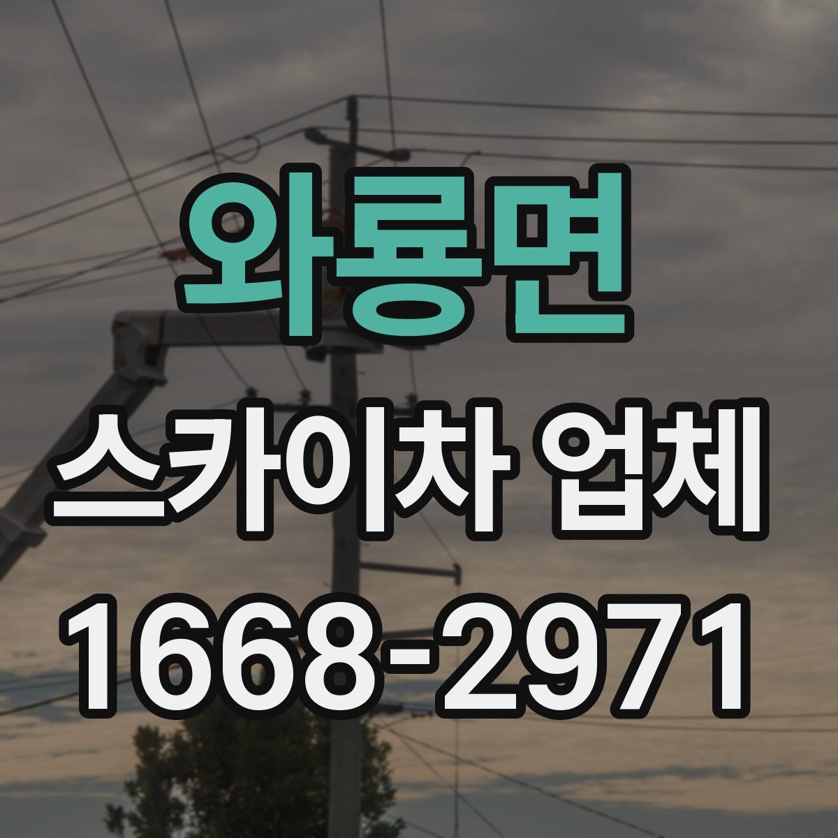 와룡면 스카이차 업체
