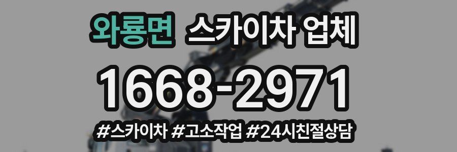 와룡면 스카이차 업체