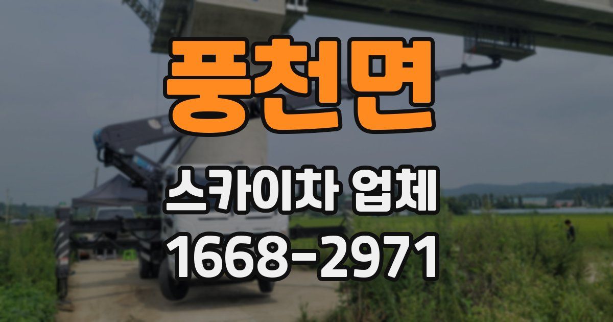 풍천면 스카이차 업체