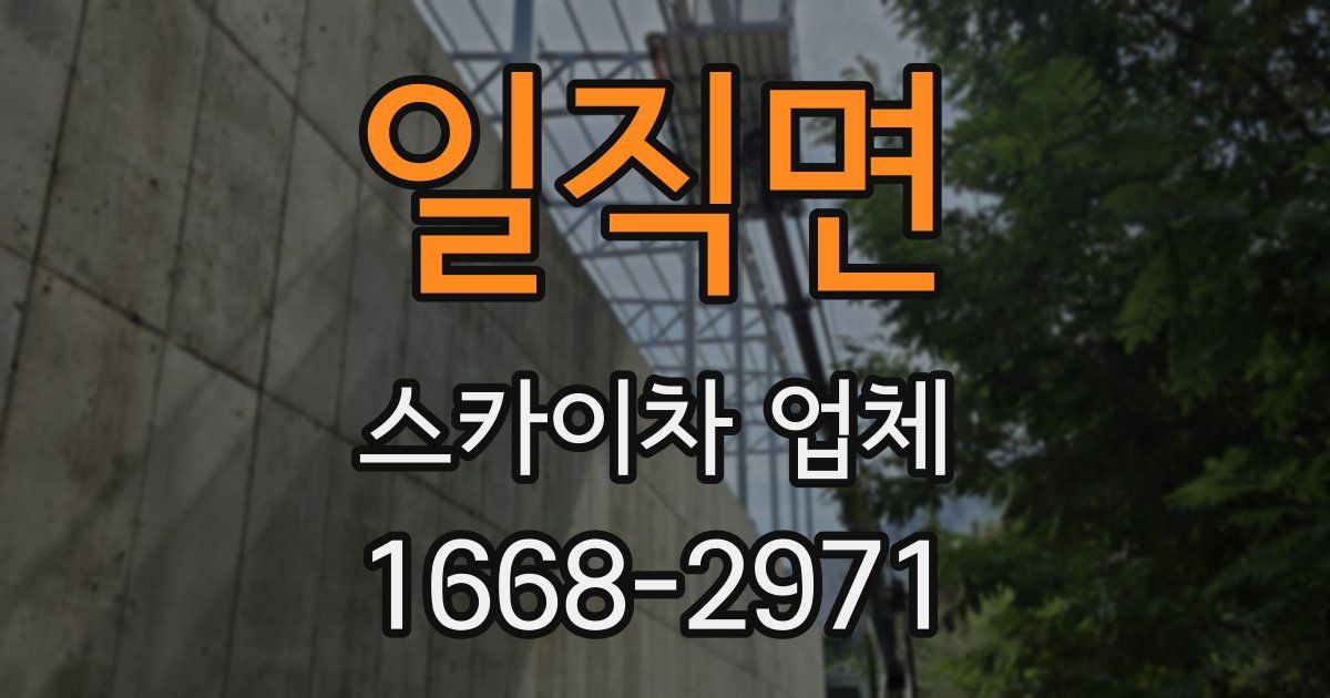 일직면 스카이차 업체