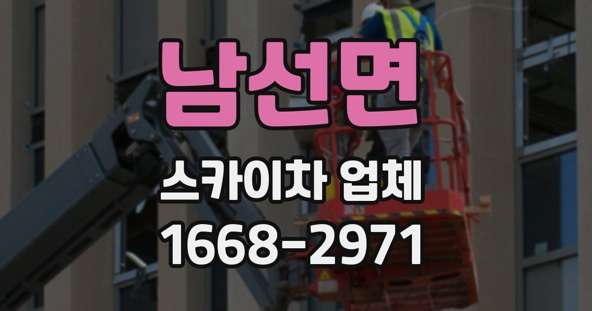 남선면 스카이차 업체