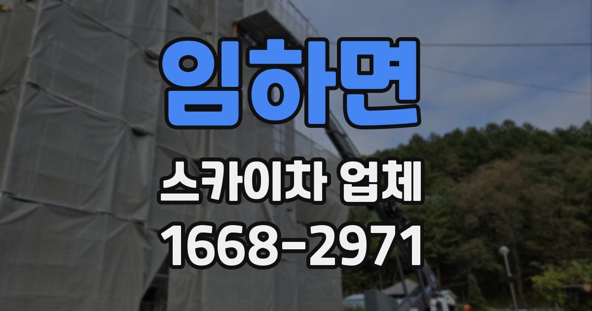 임하면 스카이차 업체