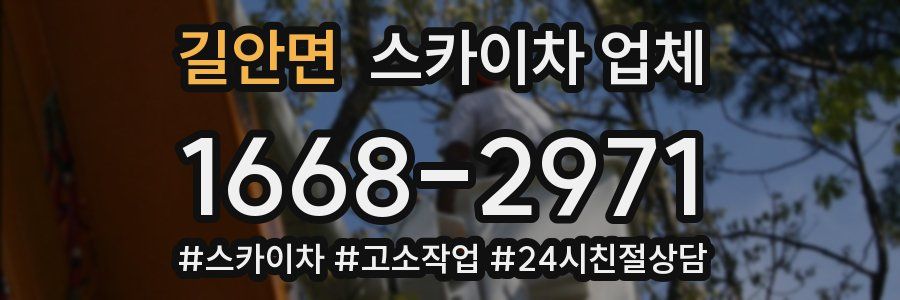 길안면 스카이차 업체