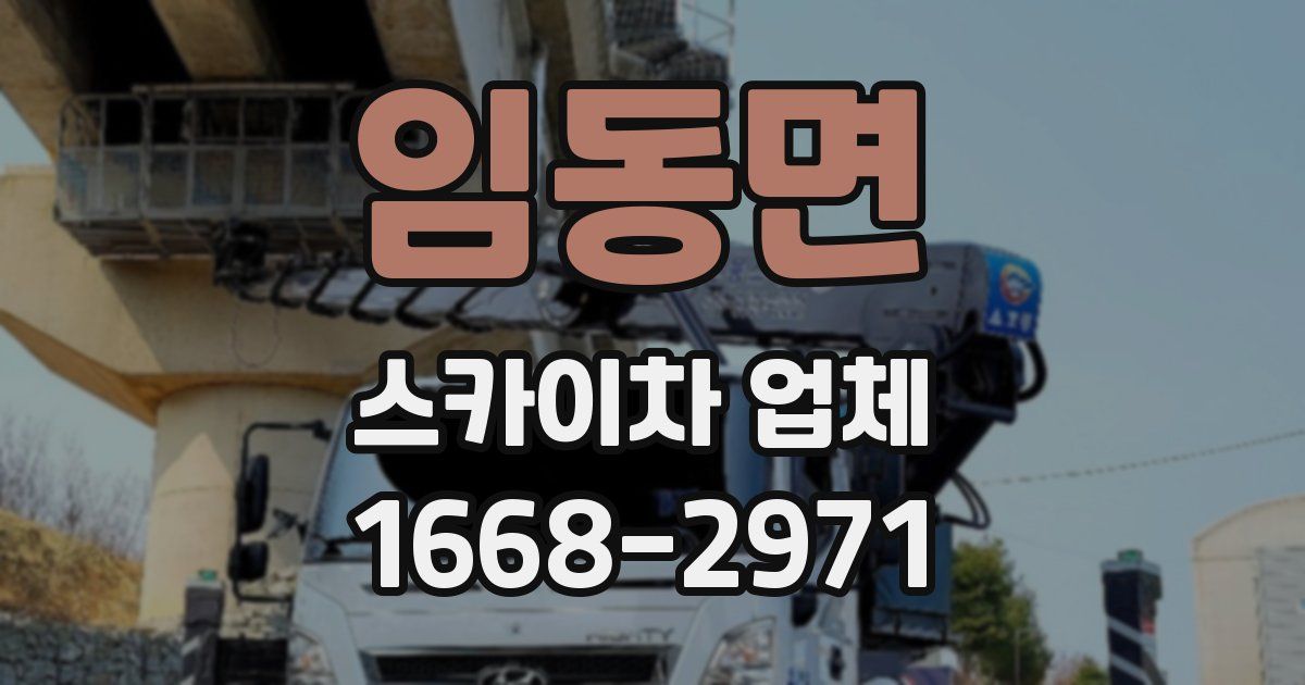 임동면 스카이차 업체