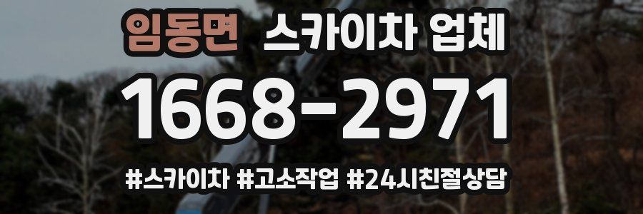 임동면 스카이차 업체