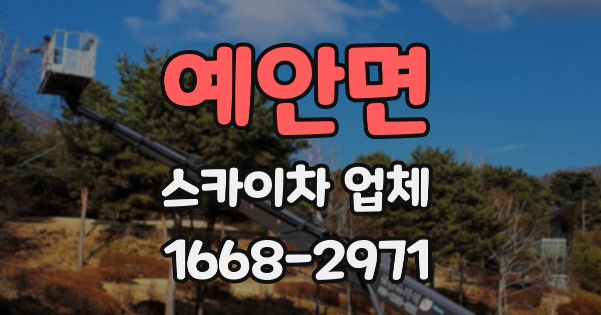 예안면 스카이차 업체