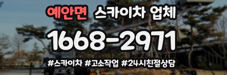 예안면 스카이차 업체