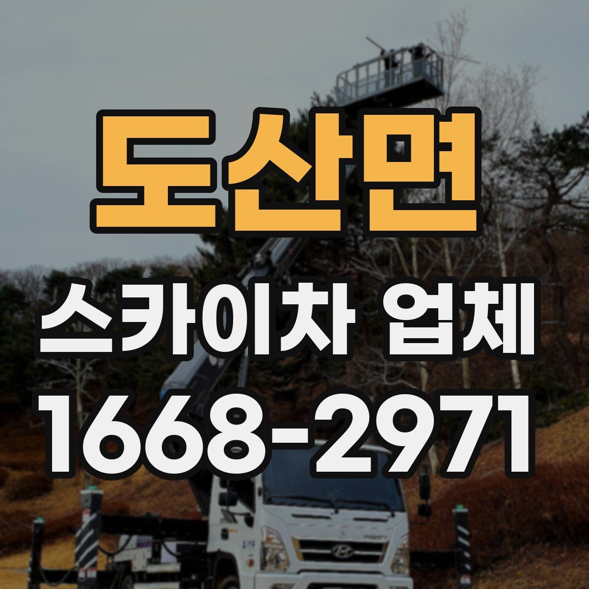 도산면 스카이차 업체