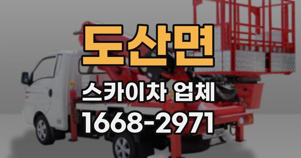 도산면 스카이차 업체