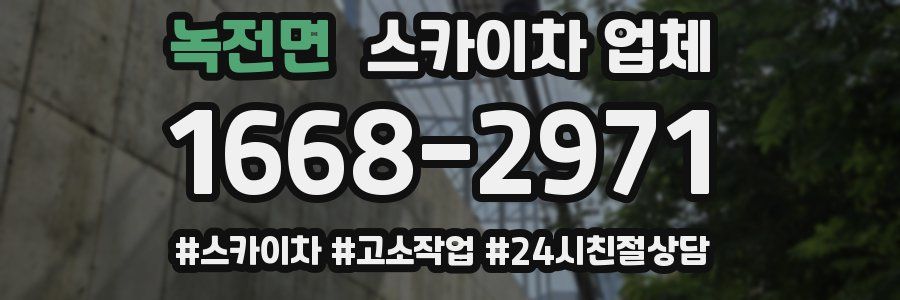 녹전면 스카이차 업체