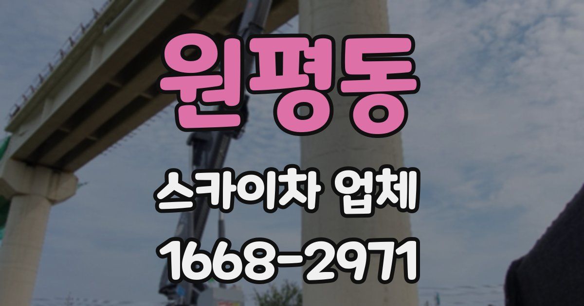 원평동 스카이차 업체