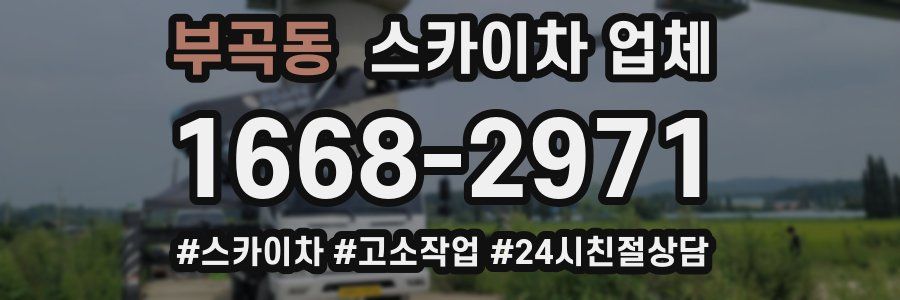 부곡동 스카이차 업체