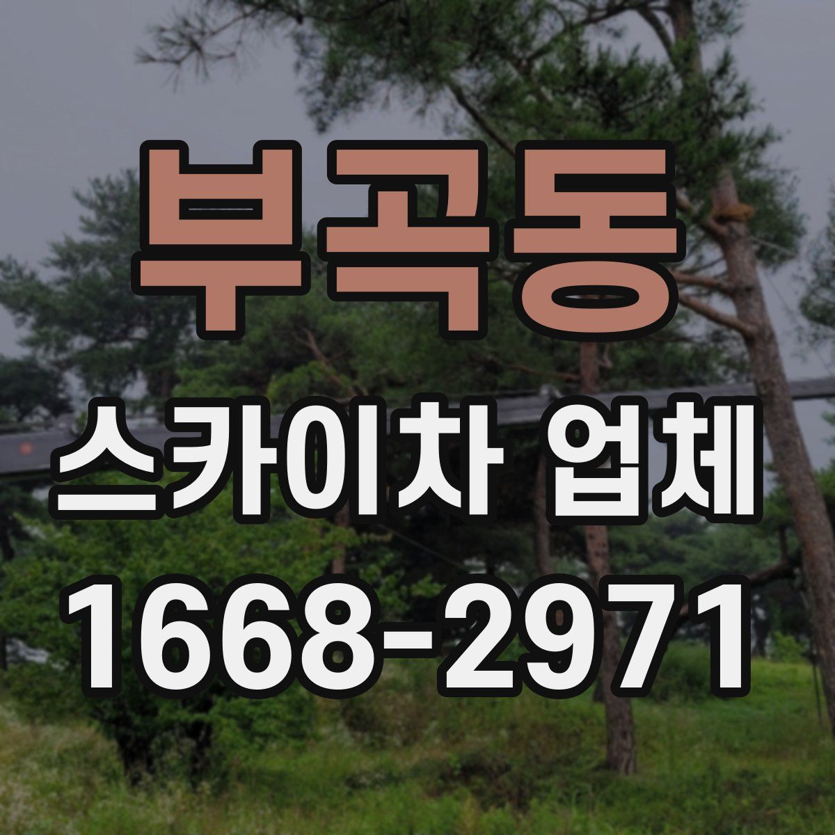부곡동 스카이차 업체