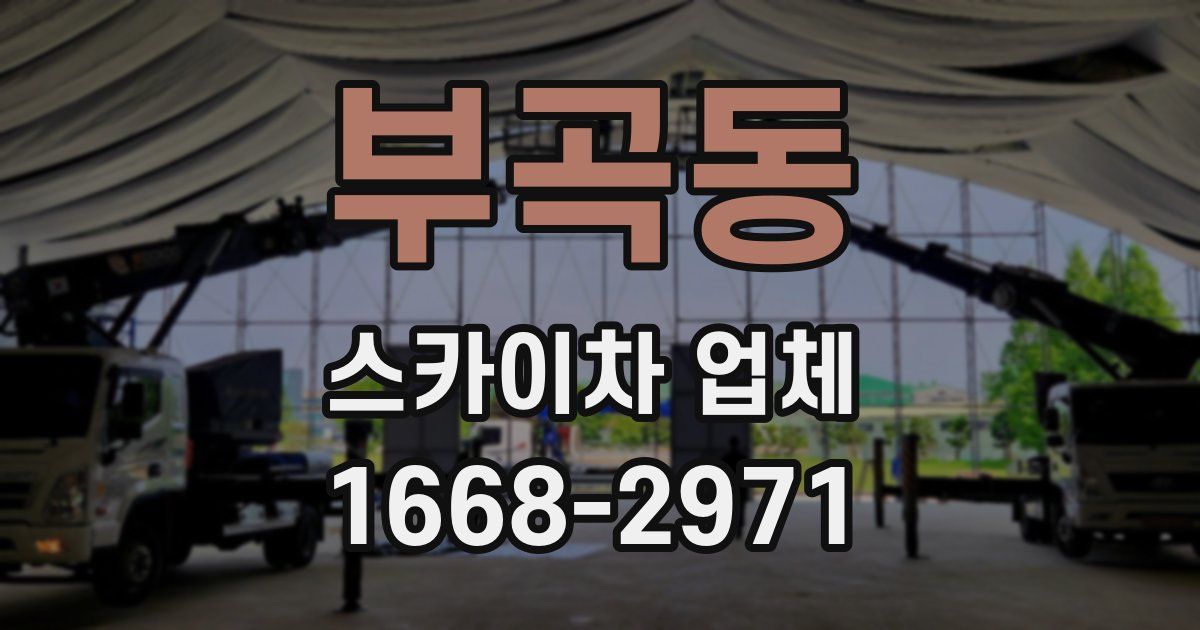부곡동 스카이차 업체