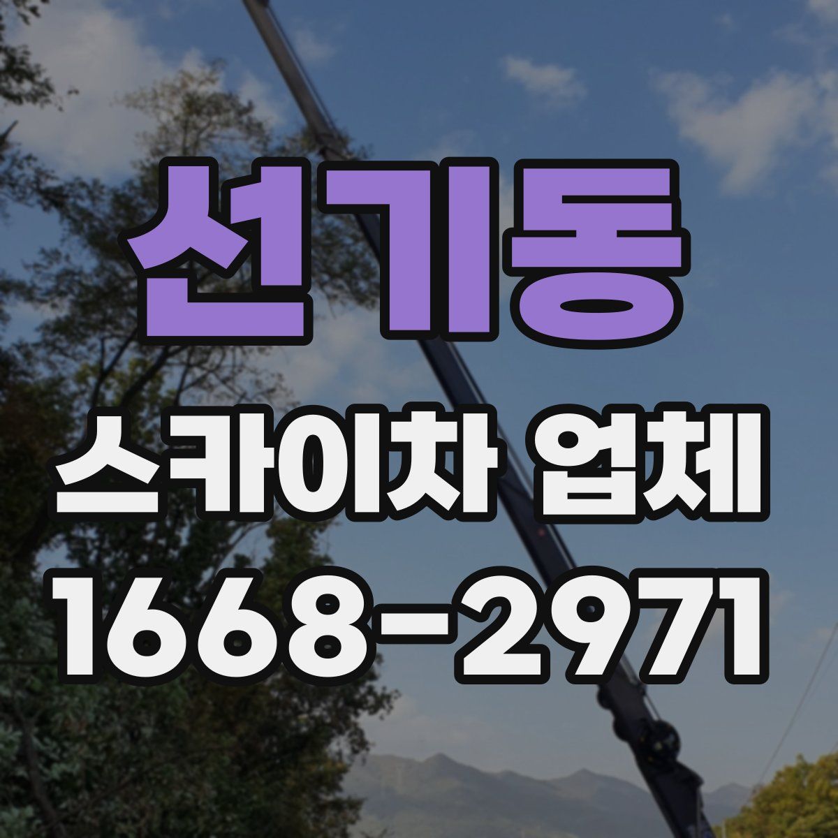 선기동 스카이차 업체