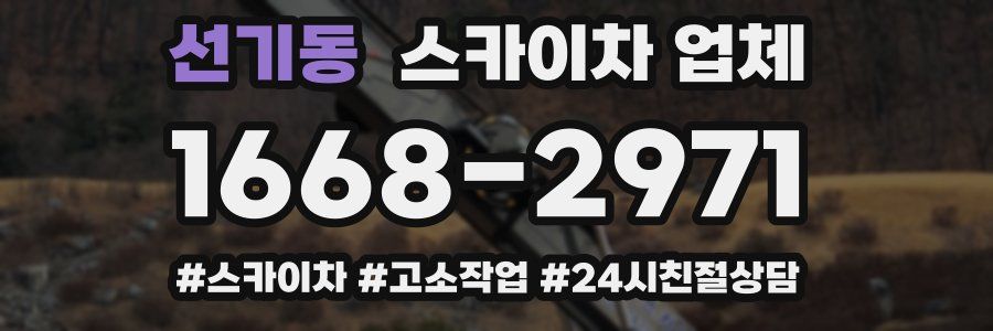 선기동 스카이차 업체