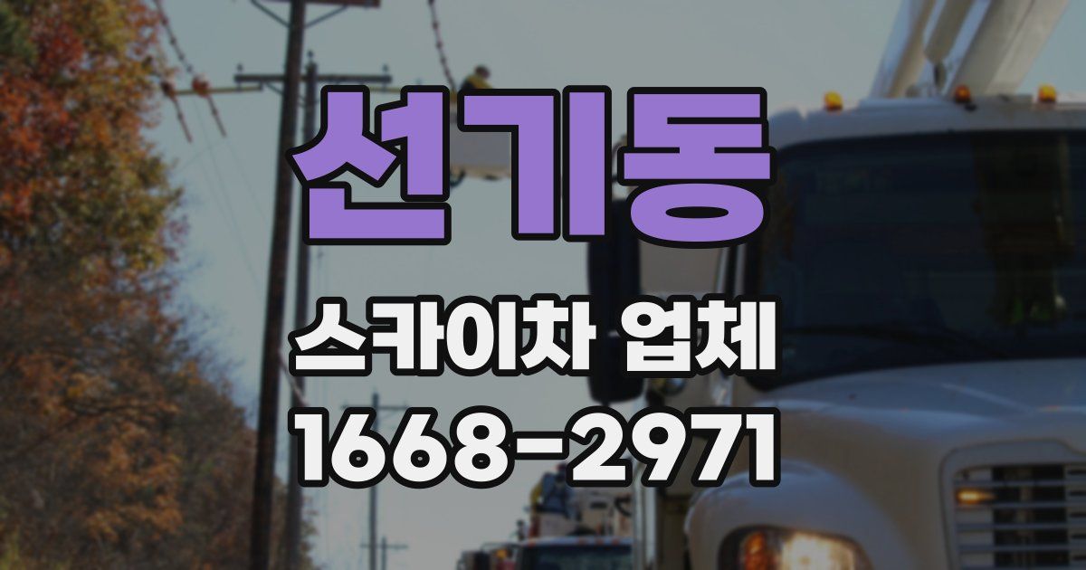 선기동 스카이차 업체
