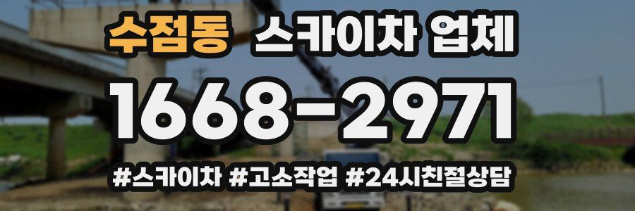 수점동 스카이차 업체