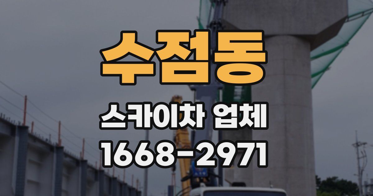 수점동 스카이차 업체