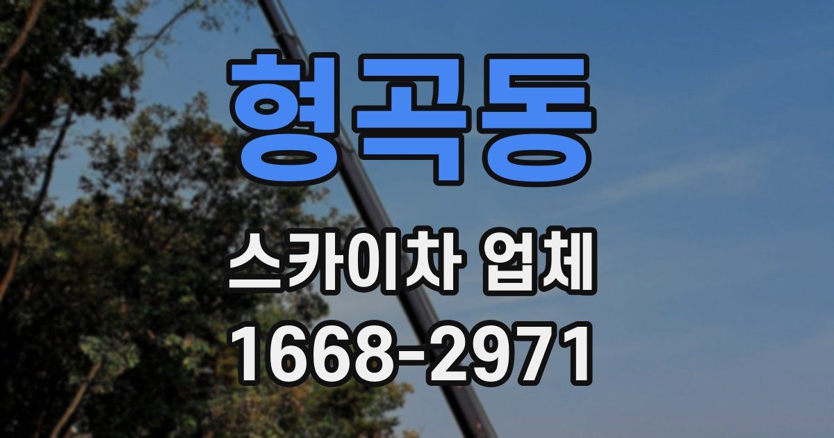 형곡동 스카이차 업체