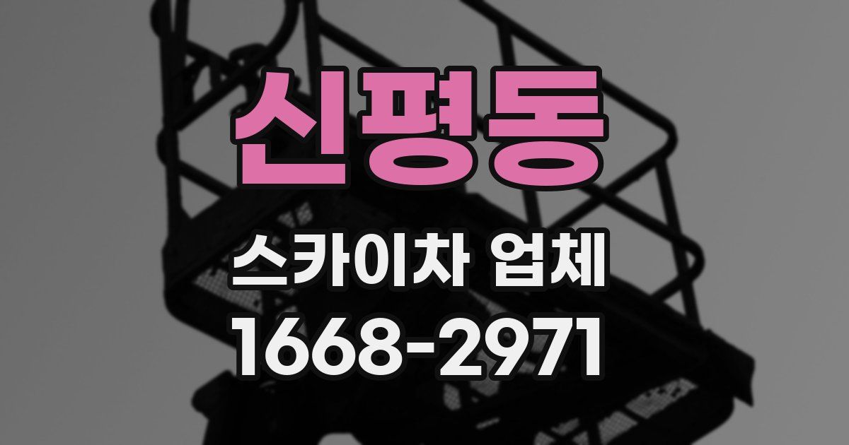 신평동 스카이차 업체