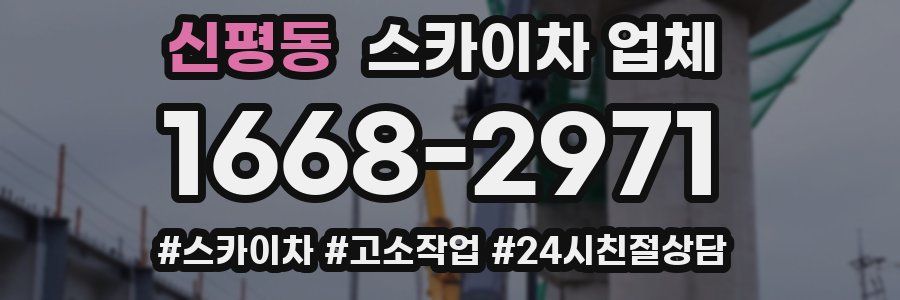 신평동 스카이차 업체