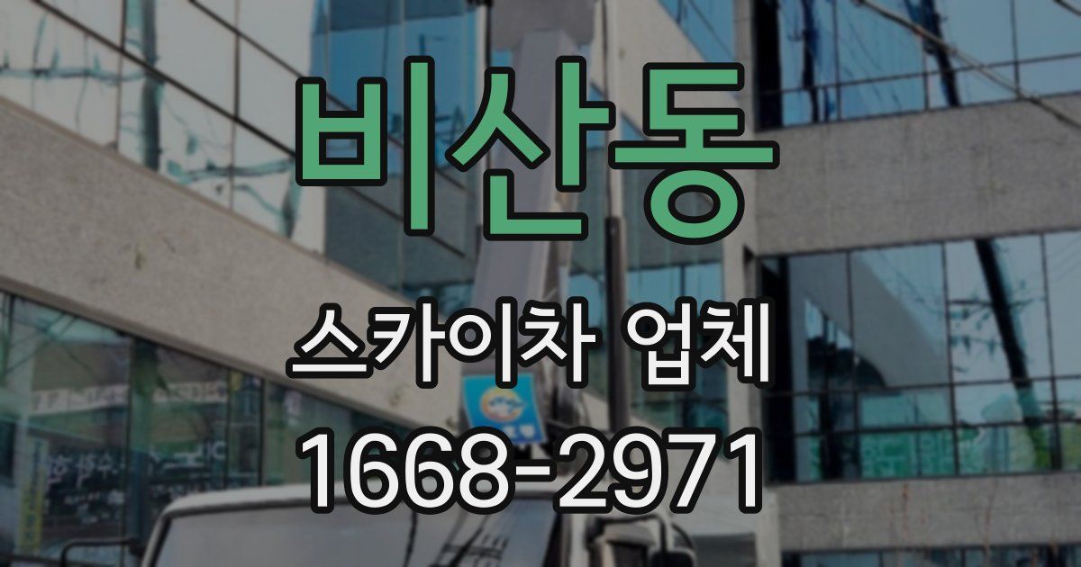비산동 스카이차 업체