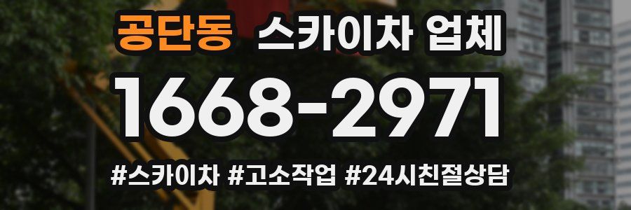 공단동 스카이차 업체