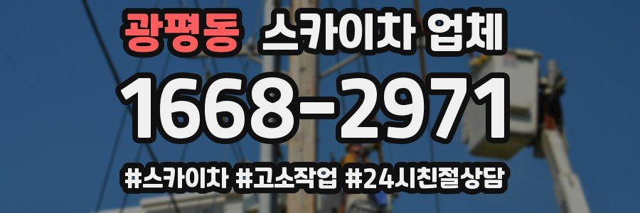 광평동 스카이차 업체