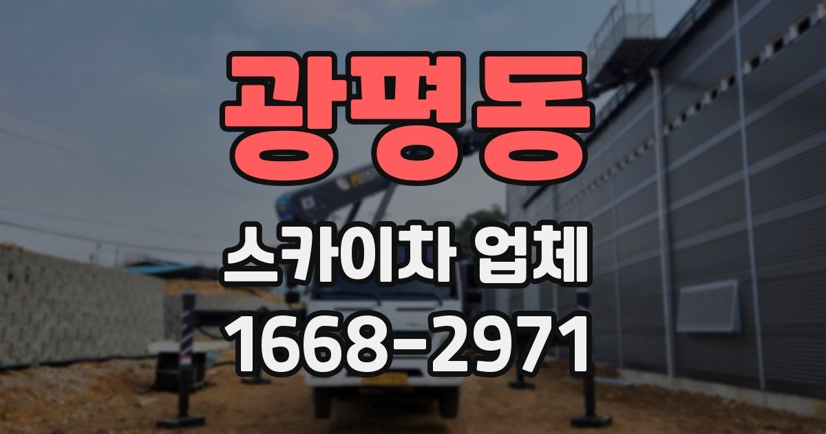 광평동 스카이차 업체